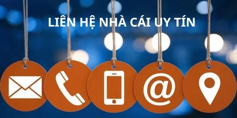 Liên hệ nhà cái 88VV khi gặp sự cố